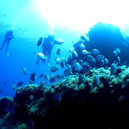 别墅 Entre Et Montagne...